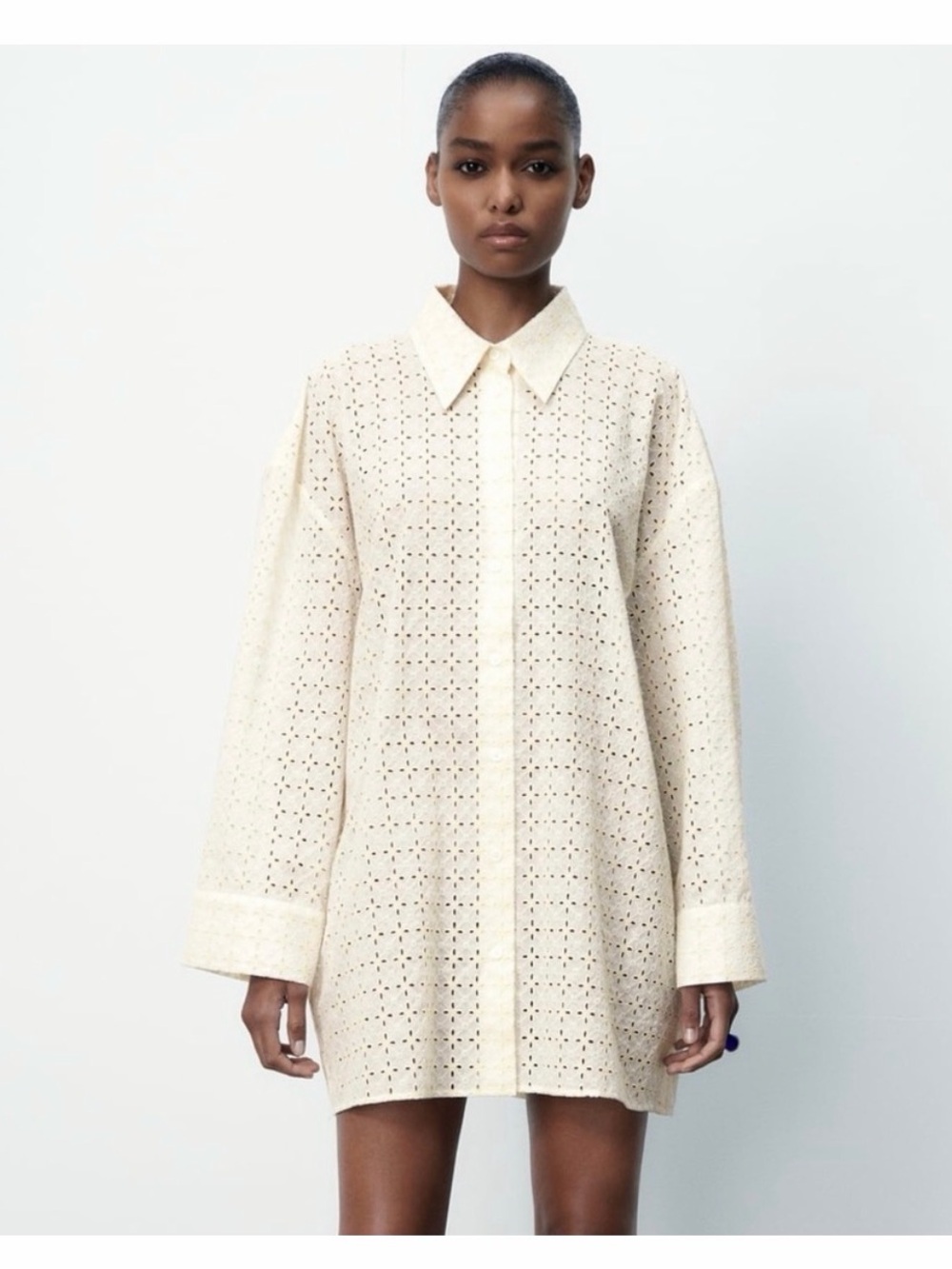 Zara Cream Embroidered Eyelet Button-Front Shirt Dress Swim Coverup
